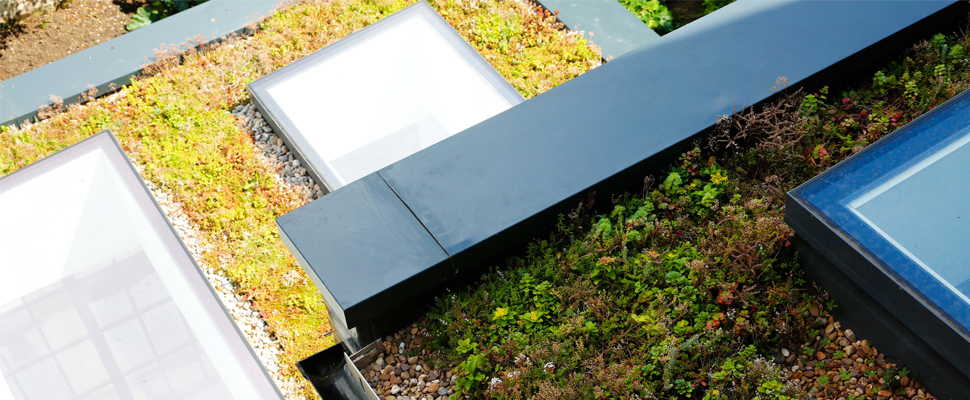 jubstudio_willes road_02.jpg